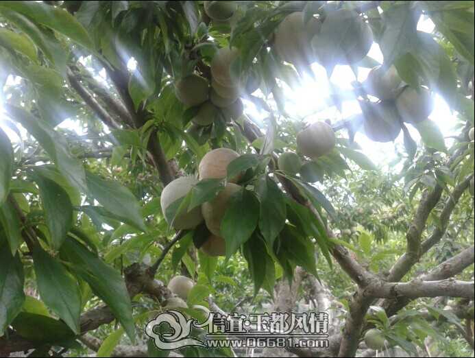 QQͼƬ20140524110457.jpg