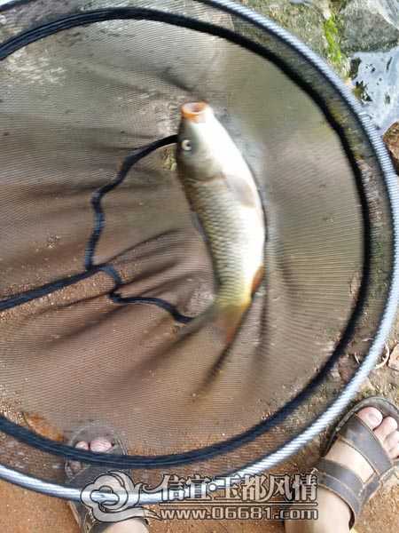 20140412_135204.jpg