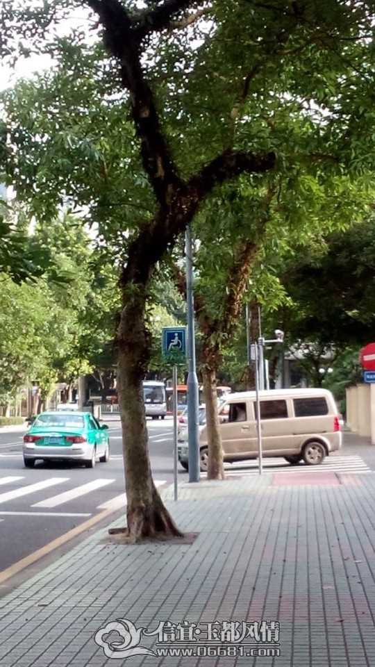 QQͼƬ20140602101952.jpg
