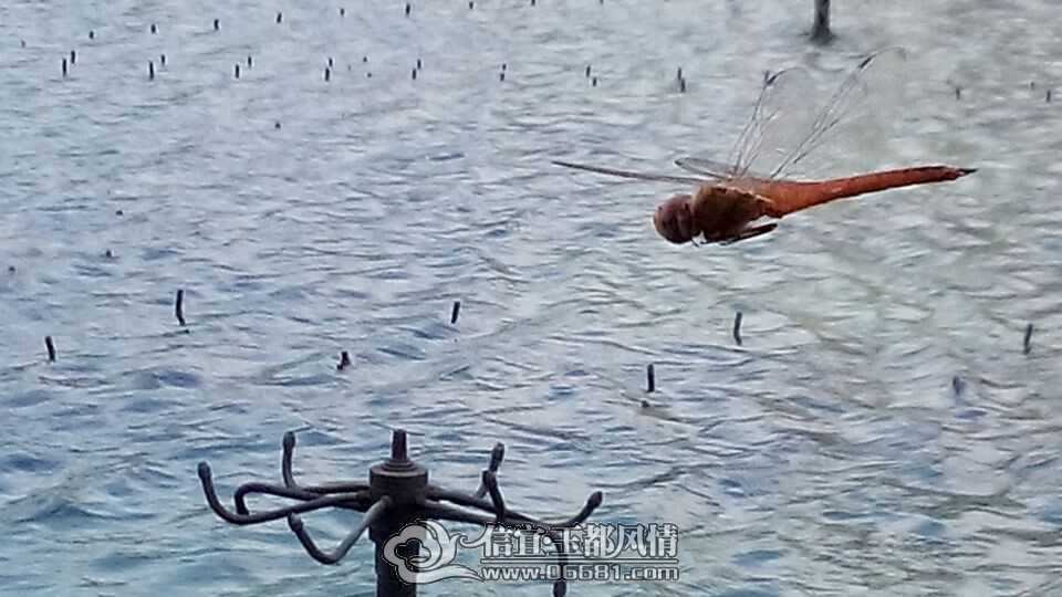 QQͼƬ20140602101839.jpg