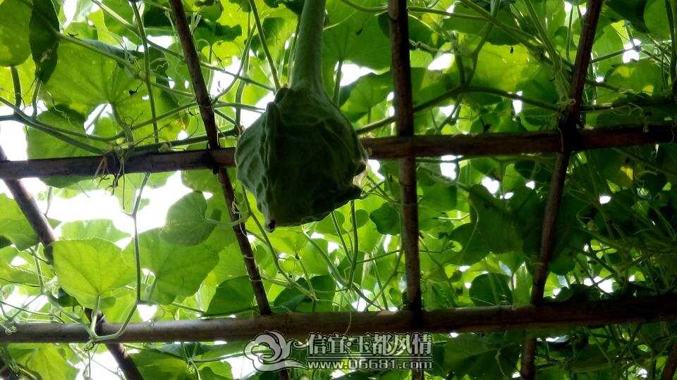 QQͼƬ20140602101109.jpg