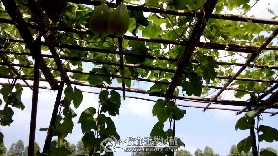 QQͼƬ20140602100958.jpg