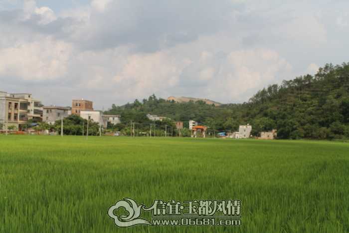 DPP_0008.JPG