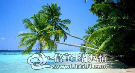 20100803102040728.jpg