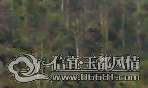 IMAG0125.jpg