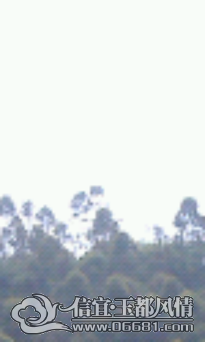 IMAG0128.jpg