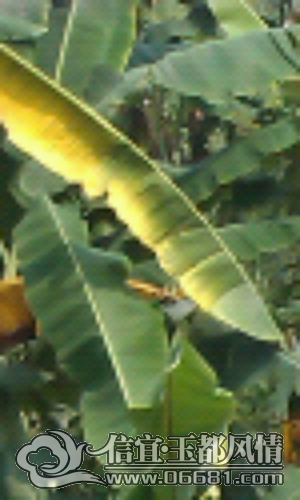 IMAG0133.jpg
