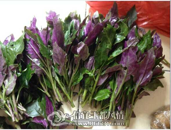 QQͼƬ20140615132304.jpg