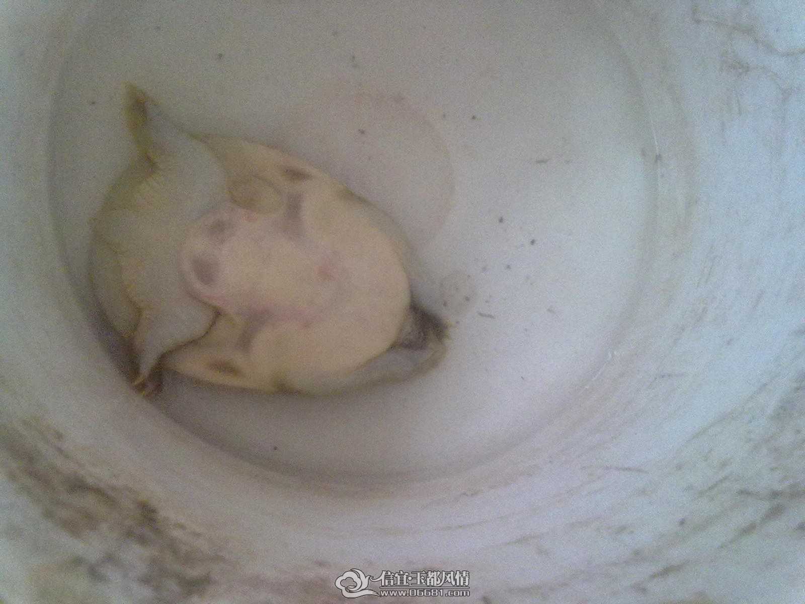 ̫�����ˣ���������ת��