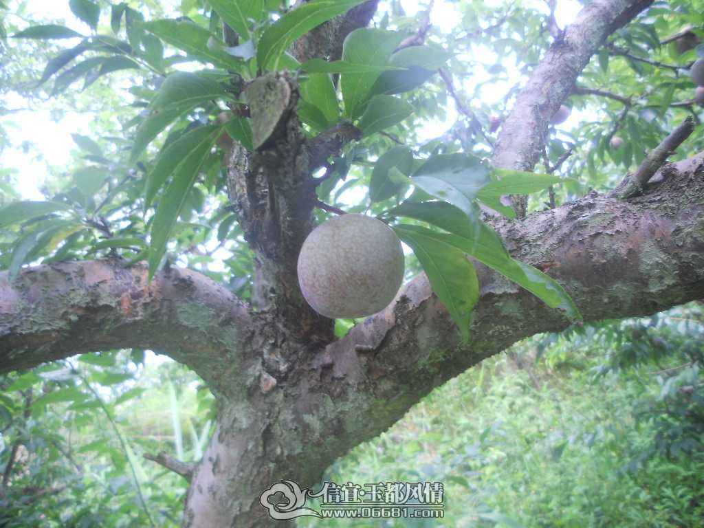 DSCN3273.JPG