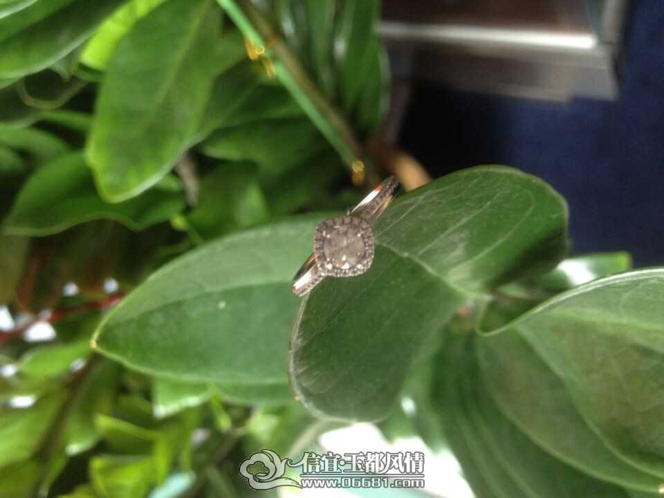 QQͼƬ20140626152927.jpg