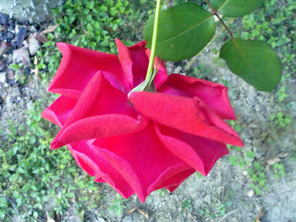 201104142035.jpg
