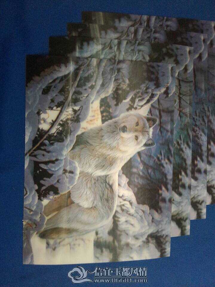3D����2.jpg