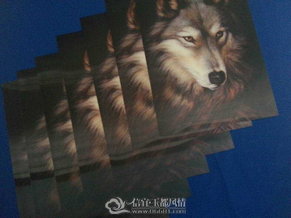 3D����1.jpg