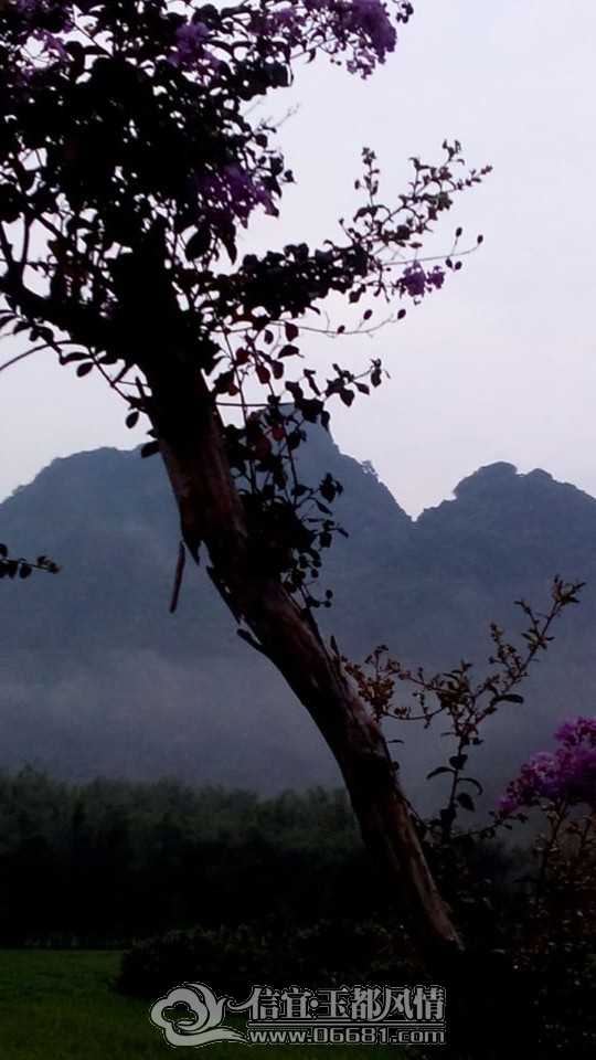 QQͼƬ20140628104743.jpg