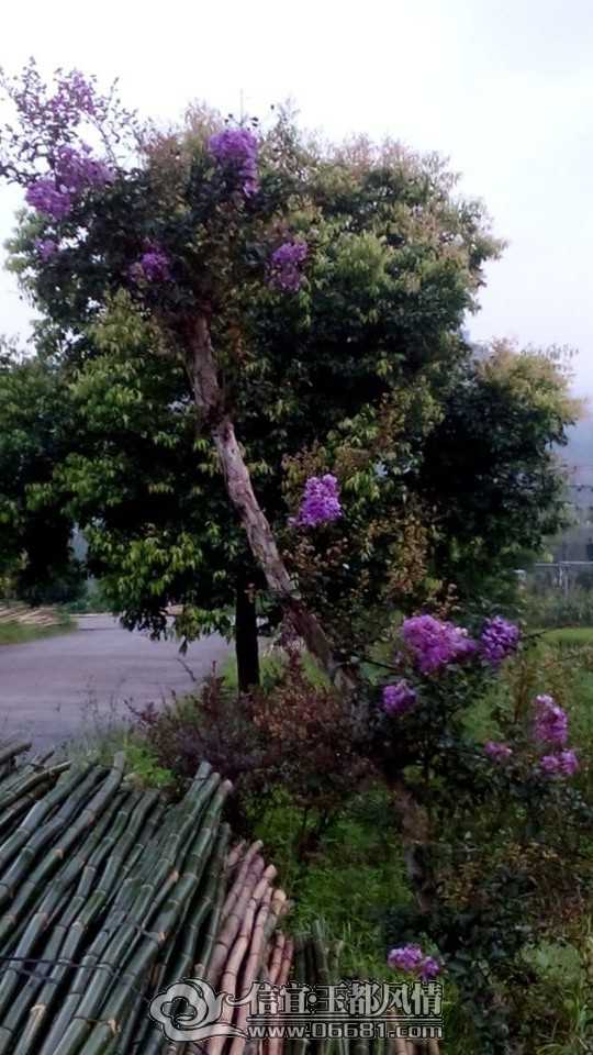 QQͼƬ20140628104747.jpg