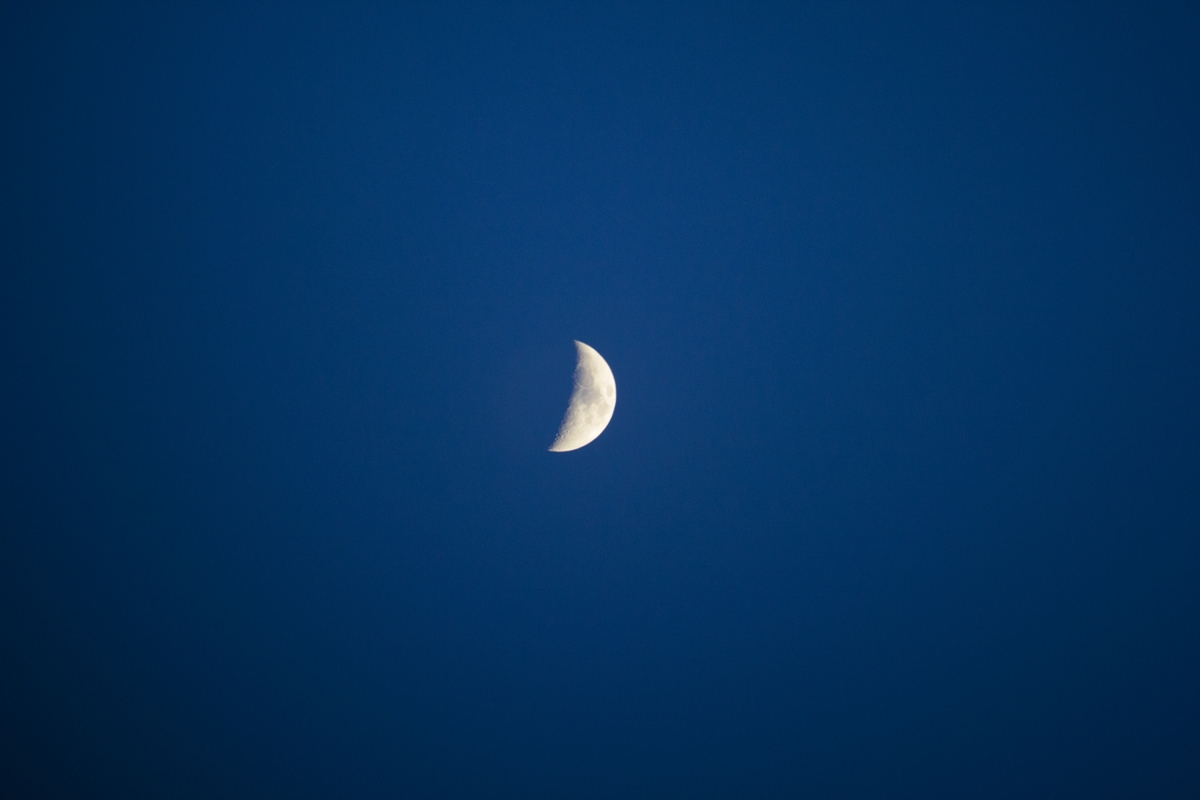 IMG_94191.jpg