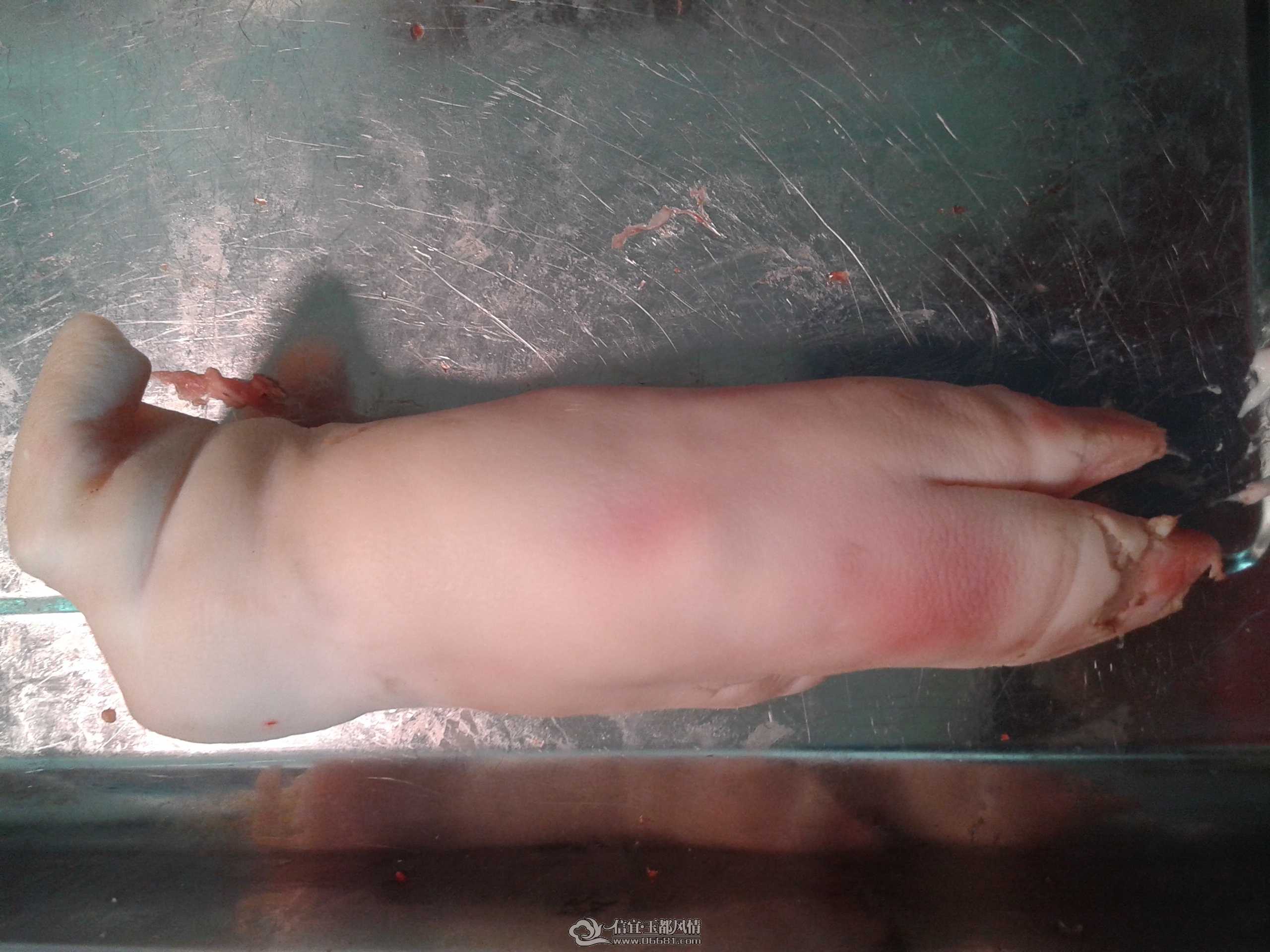 20140709_105900.jpg