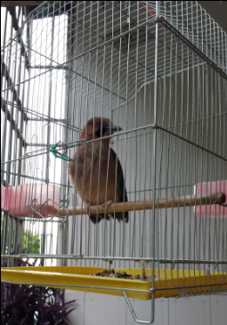 QQ��ͼ20140714104321.png
