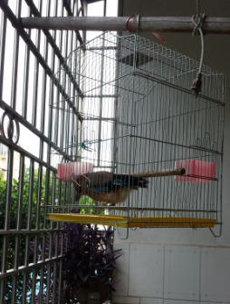 QQ��ͼ20140714104338.png