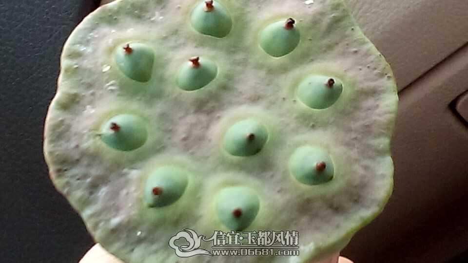 QQͼƬ20140628100932.jpg