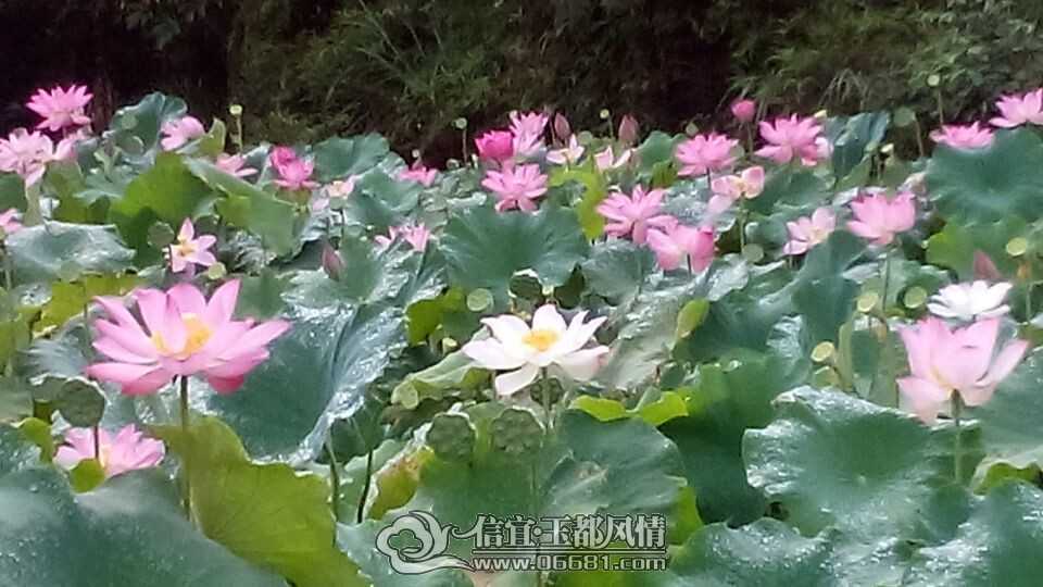 QQͼƬ20140628101119.jpg
