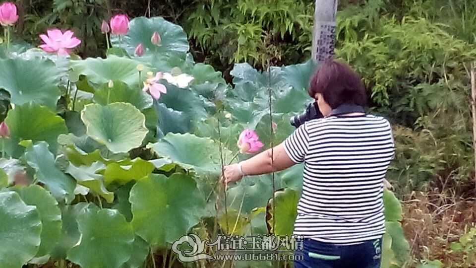 QQͼƬ20140628101129.jpg
