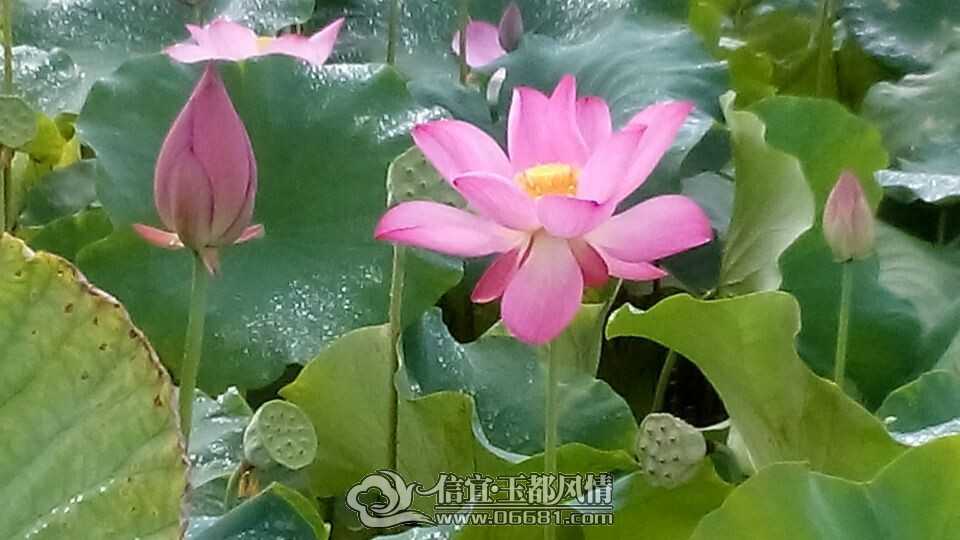 QQͼƬ20140628101433.jpg