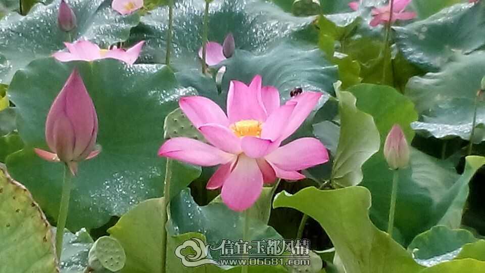 QQͼƬ20140628101447.jpg