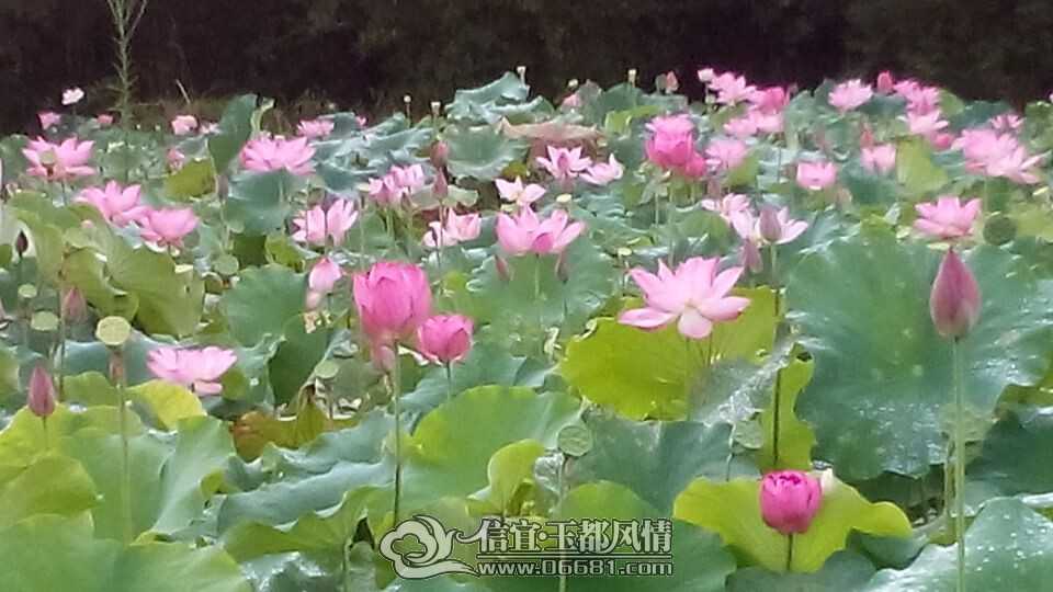 QQͼƬ20140628102702.jpg