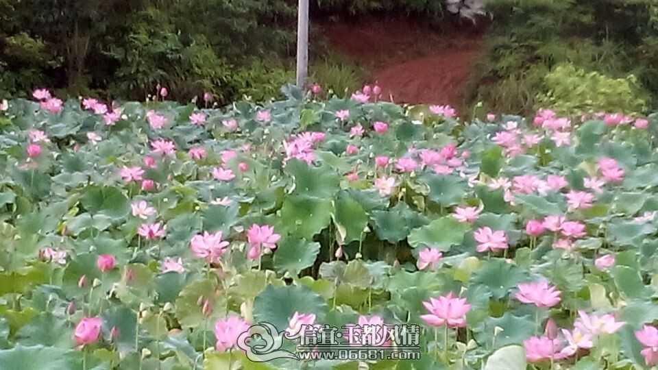QQͼƬ20140628102707.jpg
