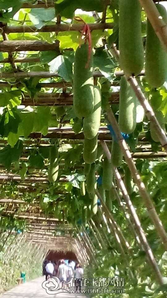 QQͼƬ20140602100750.jpg