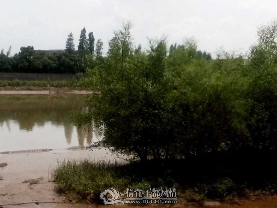 QQͼƬ20140720212924.jpg