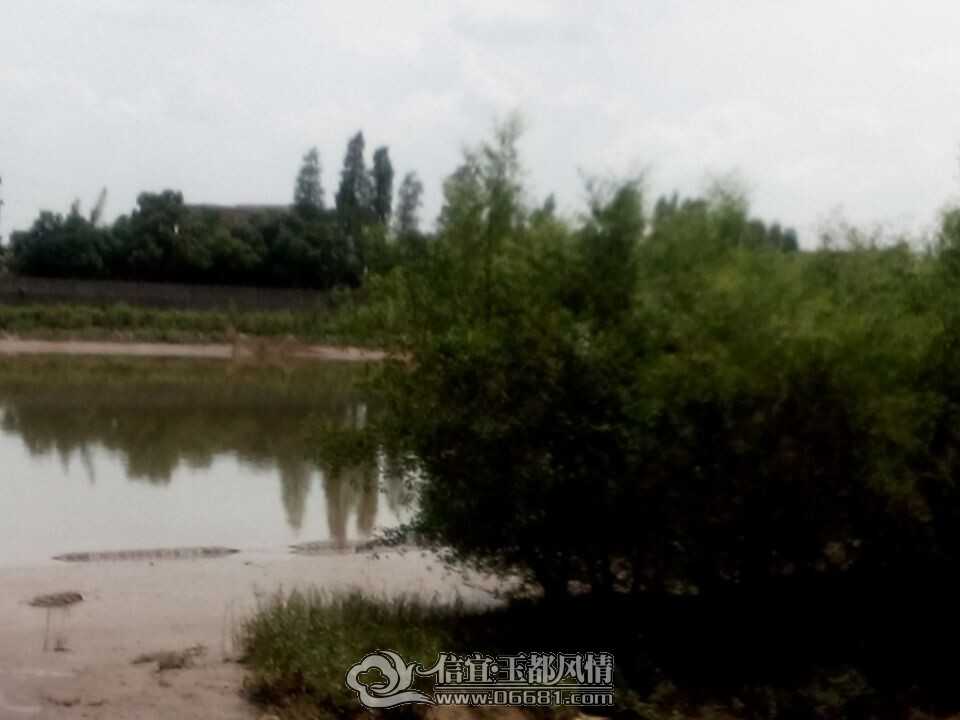 QQͼƬ20140720212934.jpg