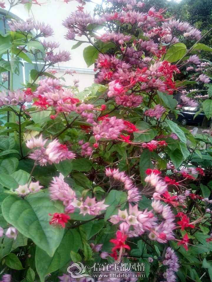 QQͼƬ20140720212721.jpg