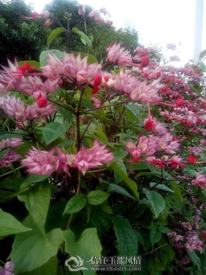 QQͼƬ20140720212737.jpg