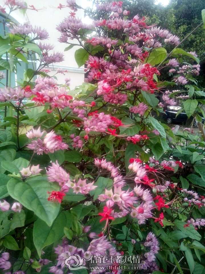 QQͼƬ20140720212755.jpg