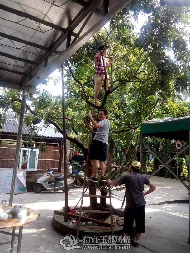 QQͼƬ20140720212907.jpg