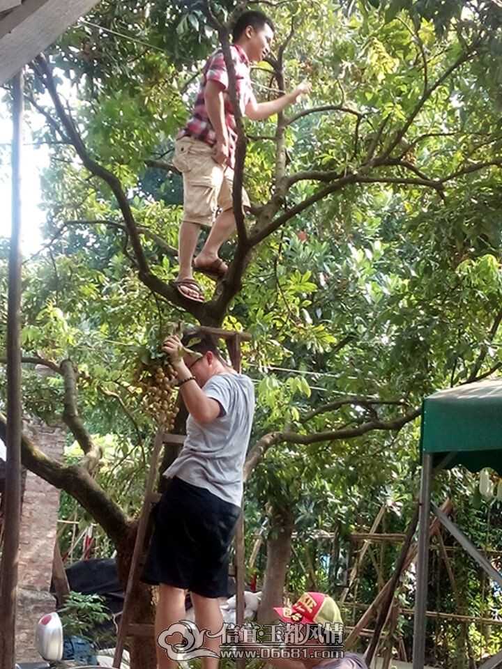 QQͼƬ20140720212844.jpg