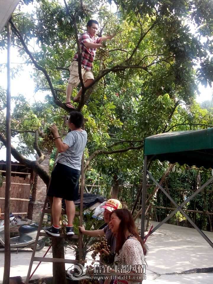 QQͼƬ20140720212834.jpg