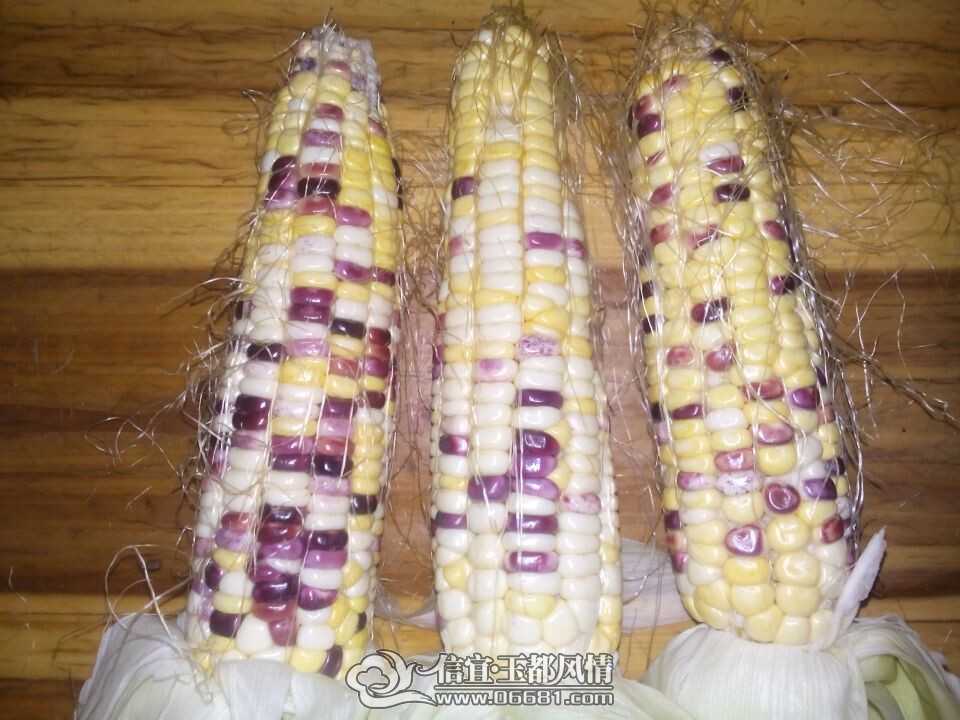 QQͼƬ20140720215421.jpg