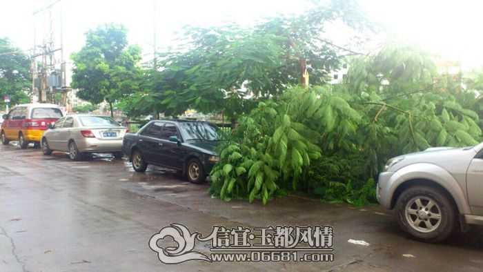 QQͼƬ20140726160627.jpg