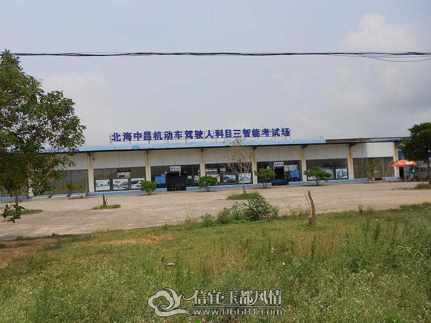 19.jpg