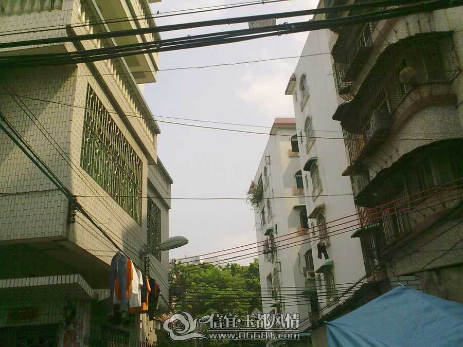 20090822904.jpg