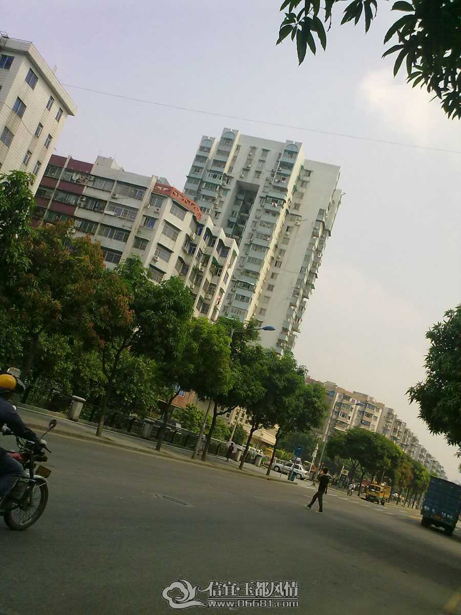 20090822911.jpg