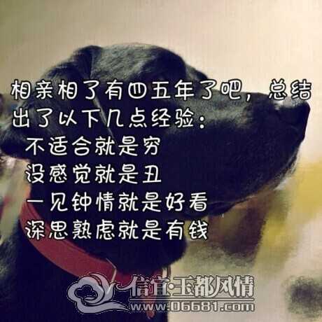 QQͼƬ20140807091249.jpg