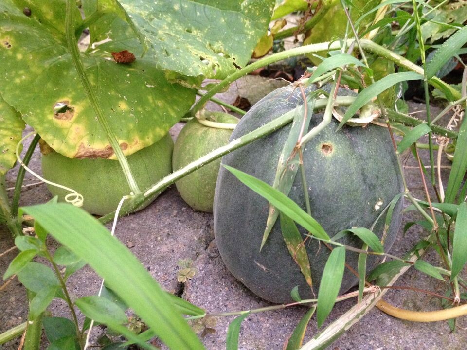 QQͼƬ20140809214339.jpg