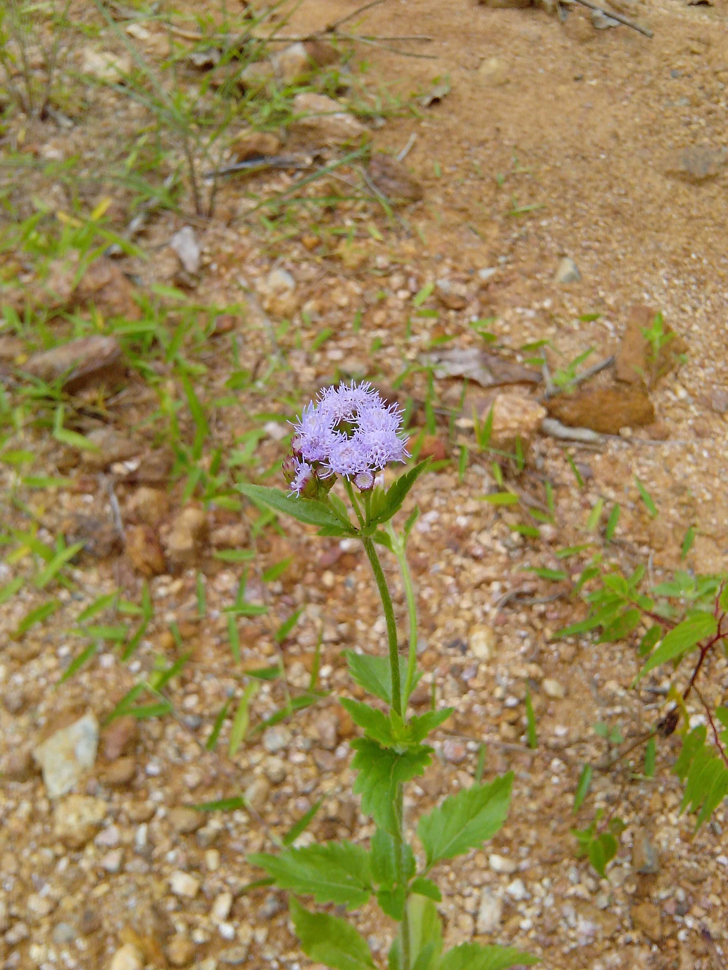 QQͼƬ20140815135815.jpg
