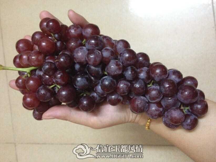 QQͼƬ20140830210515.jpg
