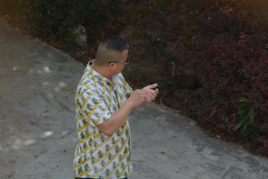 DSC_3515_������С.JPG